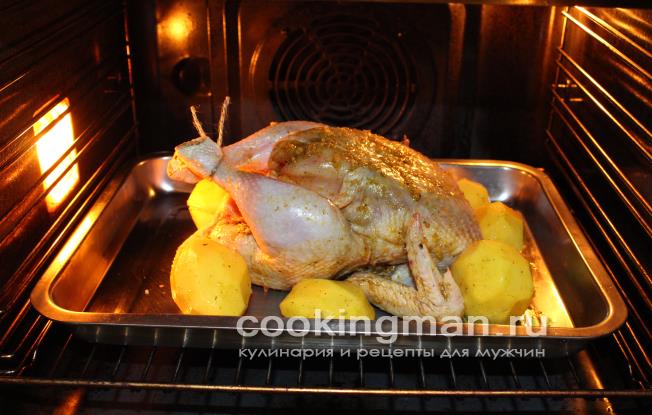 курица с картошкой в духовке фото