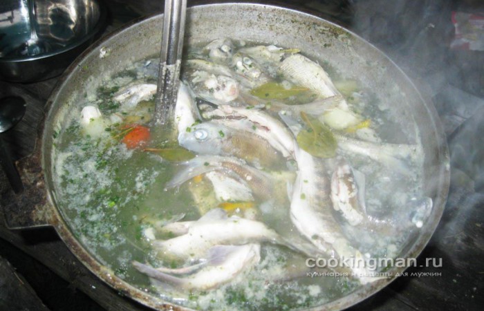 Рыбный суп из хариуса