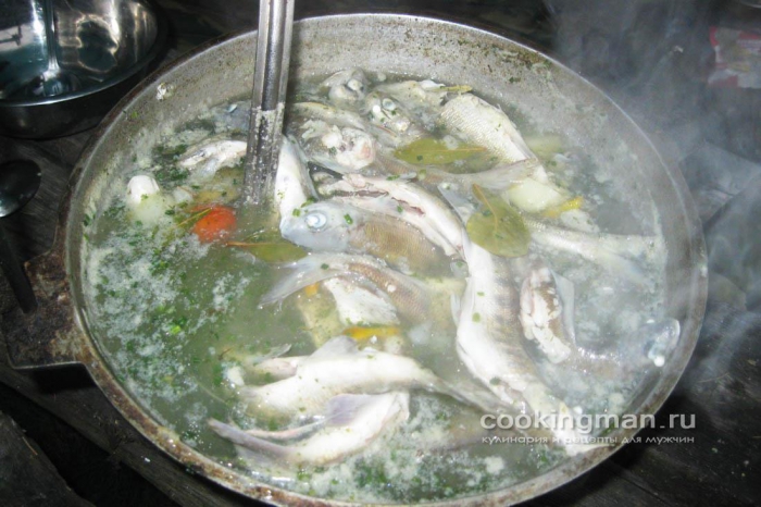 Фото рыбного супа из хариуса