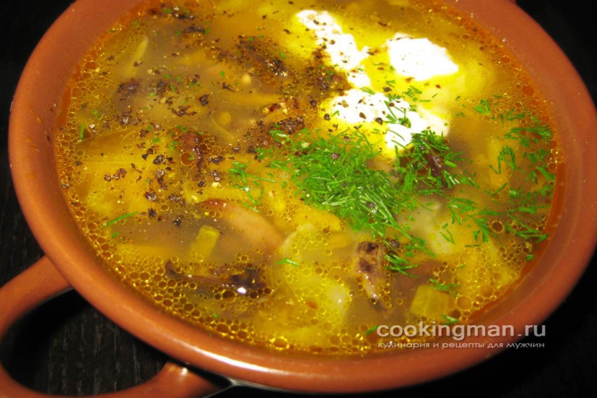 Фото грибного супа из опят